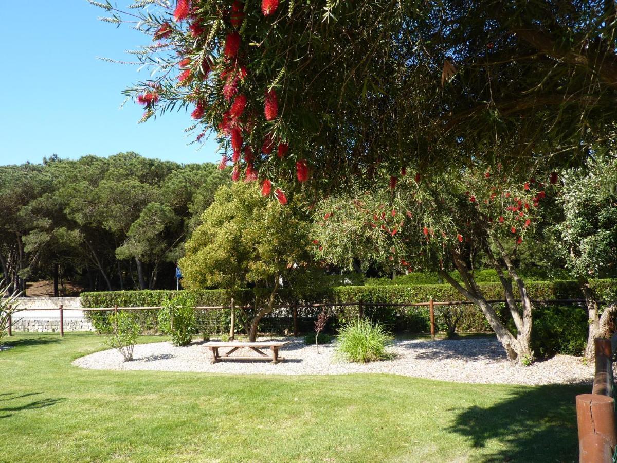 Praia del Rei Apartamento Moura - Praia D'El Rey Golf, Surf & Beach Resort מראה חיצוני תמונה